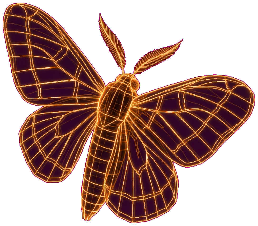 Moth
